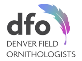 DFO